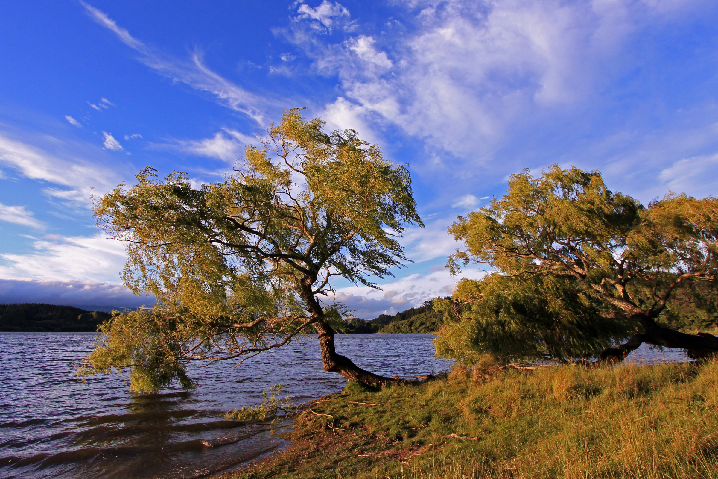 hawke's bay (4).webp